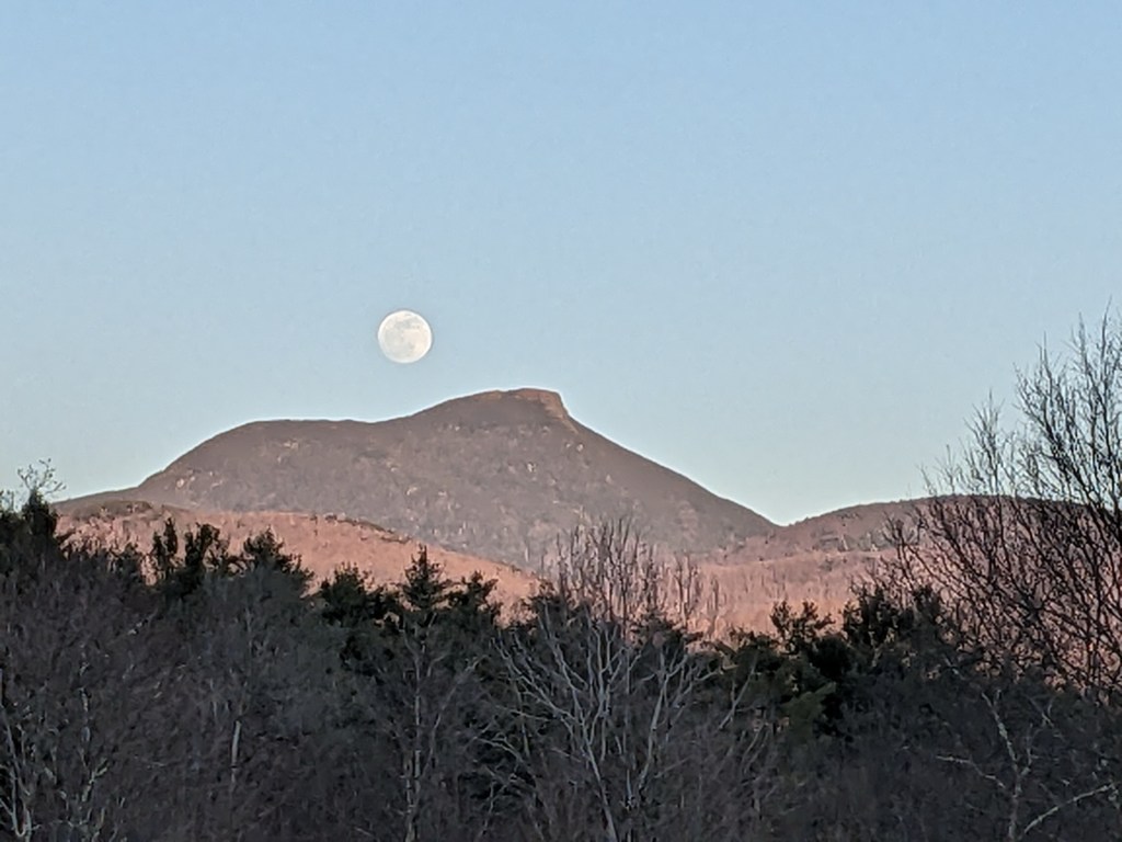 Finding home. Part&nbsp;1