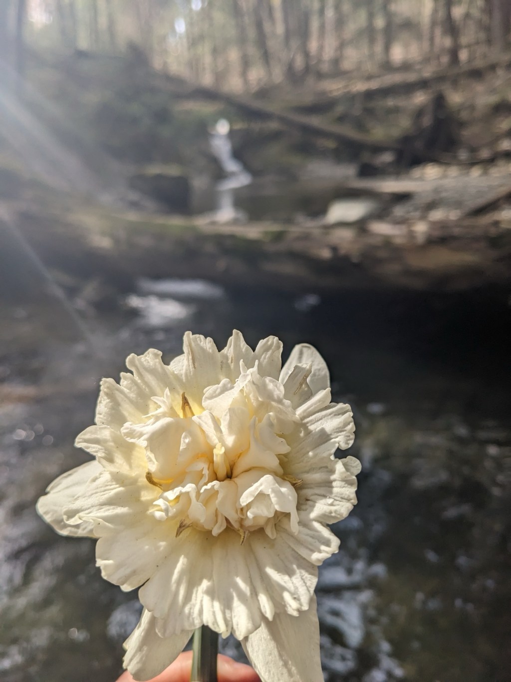 Finding home. Part&nbsp;2.2