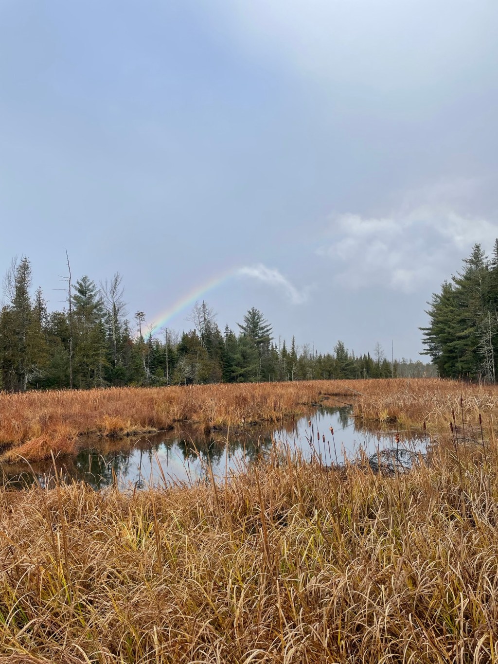 Finding home. Part 3 (the&nbsp;final)